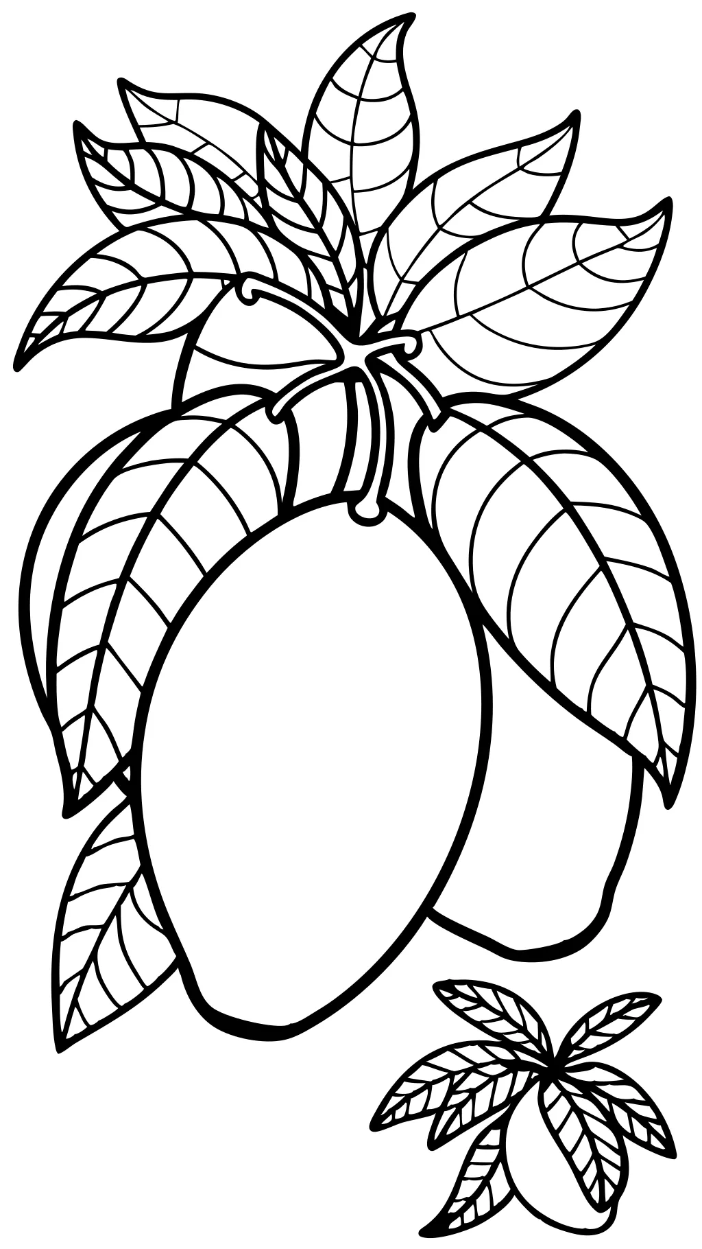 mango fruit coloring page